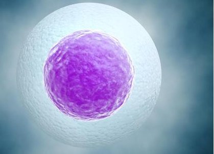 山西试管三代试管婴儿医院排名如何？试管婴儿费用多少？