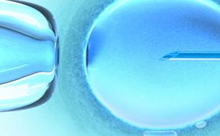 没有资质的医院和夫妻做试管婴儿会有什么后果？