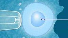 西安第三代试管婴儿成功率有多大？