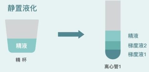 amh数值超过7是多囊吗？