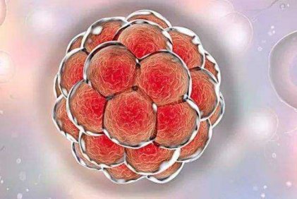 重医附一院一代试管婴儿多少钱